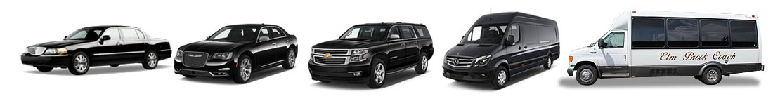 Elm Brook Limousine Services - Milwaukee Limo Service